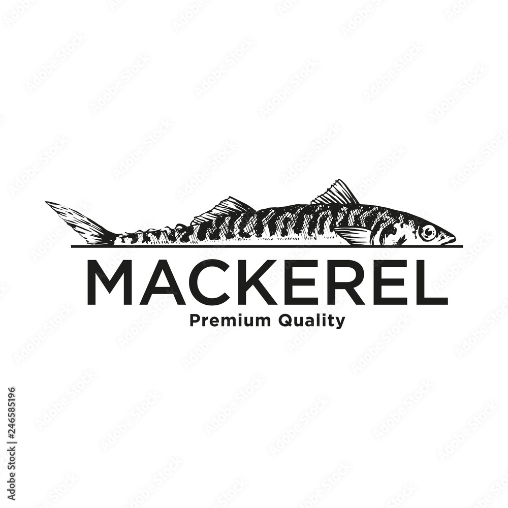 Vector Sea Sign Elements can be used as Logo or Icon in premium quality. Mackerel, Scomber.