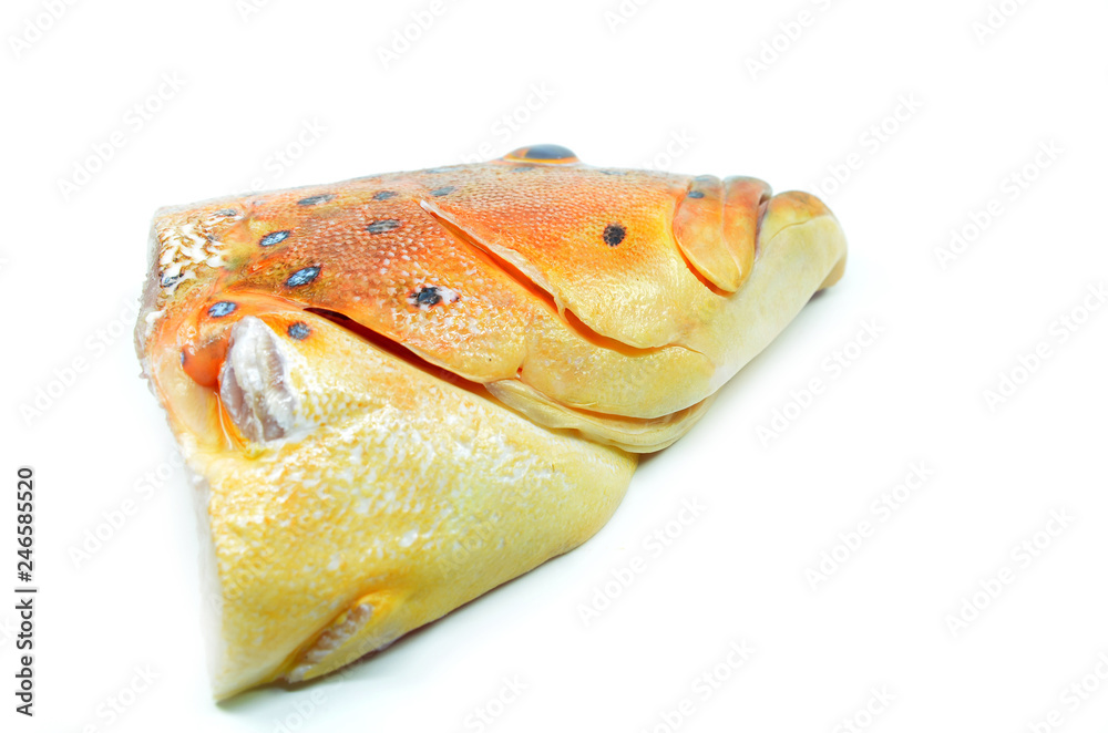 Grouper fish head on white background Grouper fish head on white background