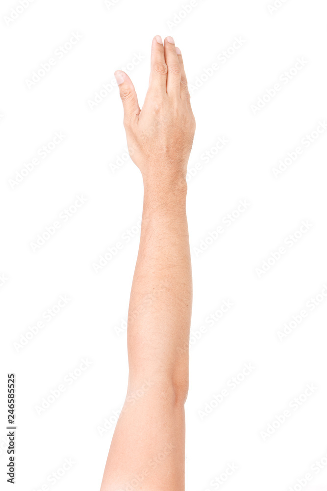 Male hand gestures isolated over the white background. Male hand gestures isolated over the white background.