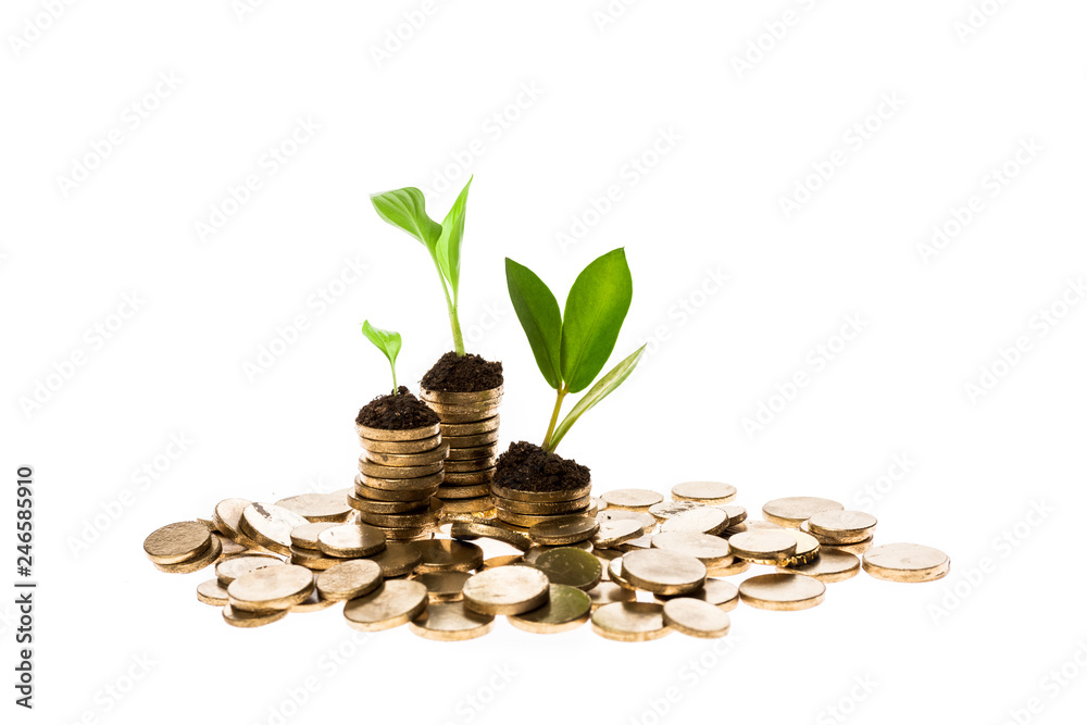 golden coins with green leaves on tops isolated on white golden coins with green leaves on tops isolated on white