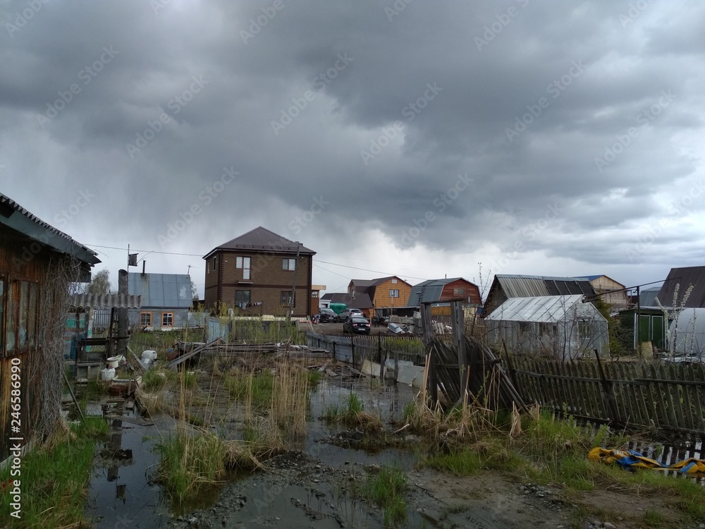 Obraz premium Siberian Summer