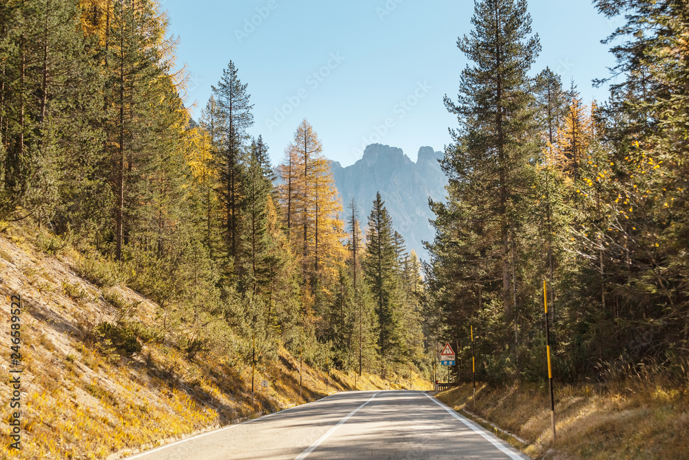 Mountain road in forest