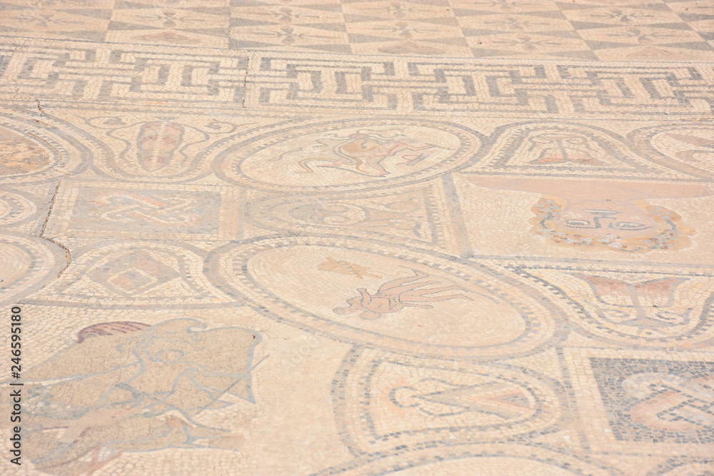 Obraz premium VOLUBILIS