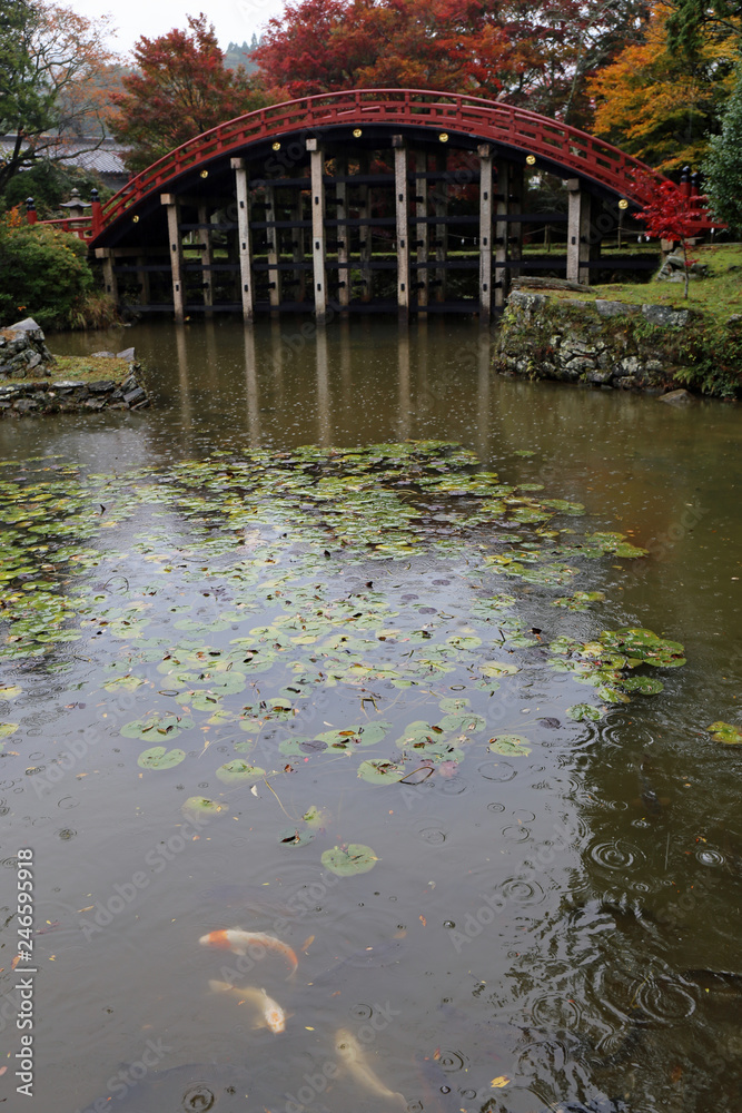 秋の丹生都比売神社