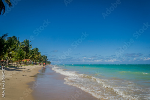 Fototapeta Naklejka Na Ścianę i Meble -  Beaches of Brazil - Peroba Beach, Maragogi - Alagoas state