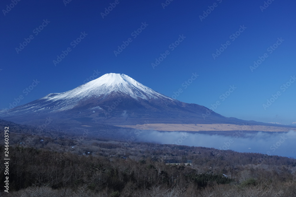 富士山と山中湖