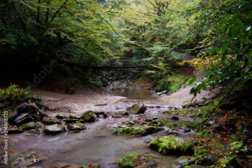 mountain river not far from the Orekhovsky waterfall  and Sochi.