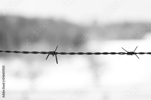 Close up of a barbed wire fence on blurry background