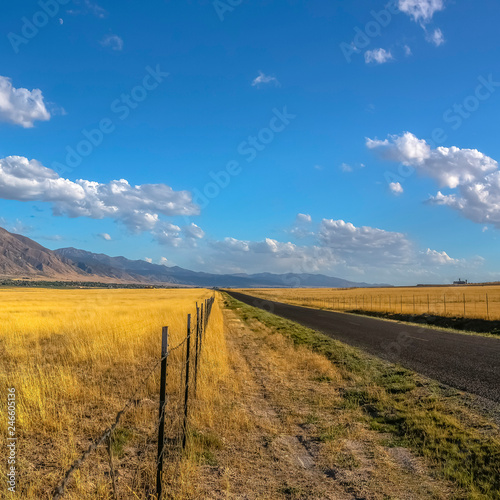 Road along a grassy field with barbed wire fence