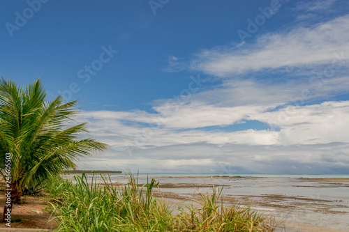 Fototapeta Naklejka Na Ścianę i Meble -  Beaches of Brazil - Bitingui Beach, Japaratinga - Alagoas state