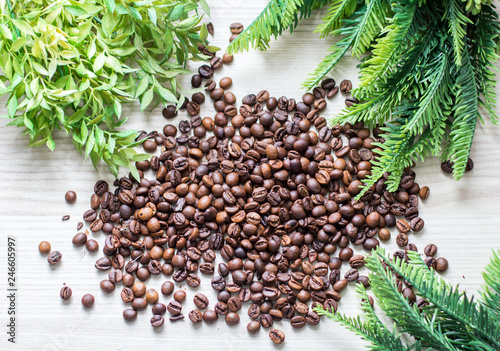 Coffee beans and green branches