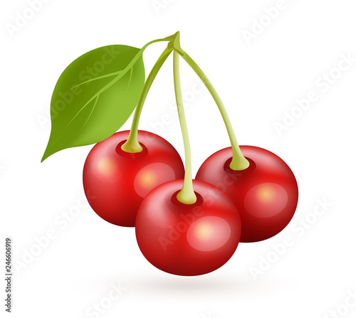 Cherry realistic vector ico...
