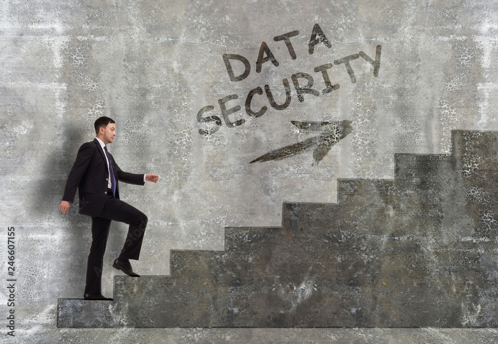 Business, technology, internet and networking concept. A young entrepreneur goes up the career ladder: Data security Business, technology, internet and networking concept. A young entrepreneur goes up the career ladder: Data security