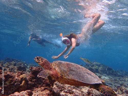 A group of tourists doing snorkeling with a turtle in Maldives