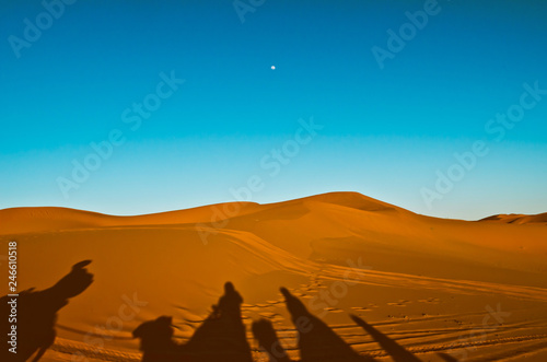 view of caravan traveling and camels shadows on the sand dune in Sahara desert
