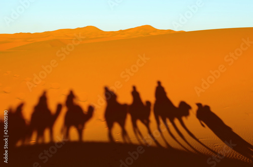 view of caravan traveling and camels shadows on the sand dune in Sahara desert