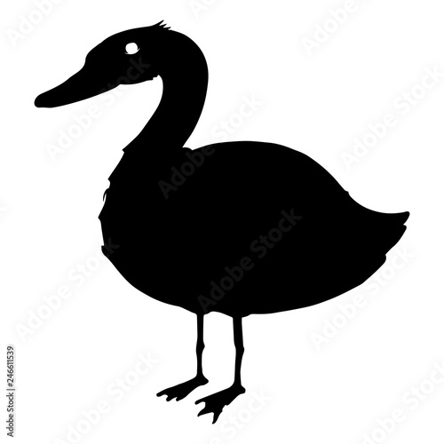 Silhouette Duck icon. Vector illustration of waterfowl duck. Duck hand drawn.