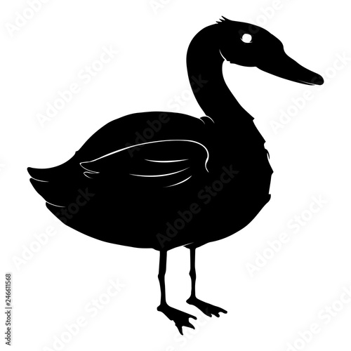 Silhouette Duck icon. Vector illustration of waterfowl duck. Duck hand drawn.