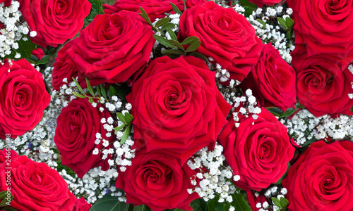 Blumenarrangement aus roten Rosen mit wei  em Schleierkraut