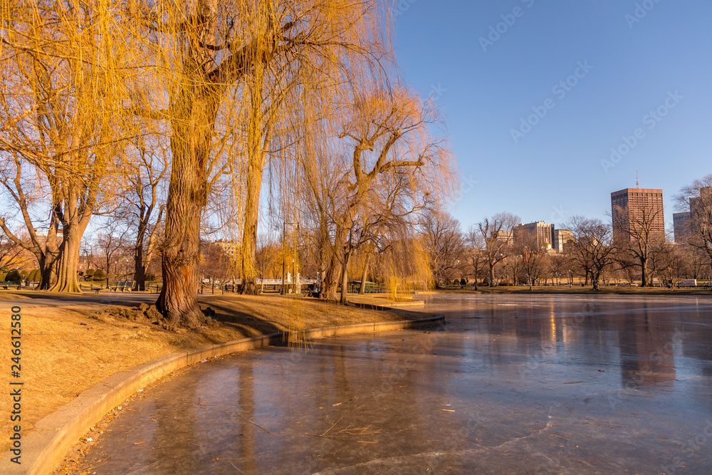 Obraz premium Boston Common Lagoon in Winter