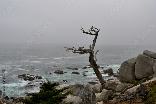 Coastline along the 17 Mile Drive in overcast day. California, USA