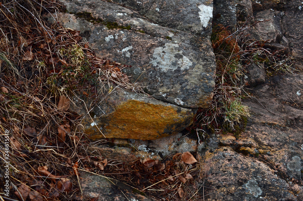 Obraz premium beautiful winter mountain nature