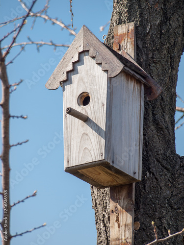 Handmade birdhouse hanging on a tree in the orchard.