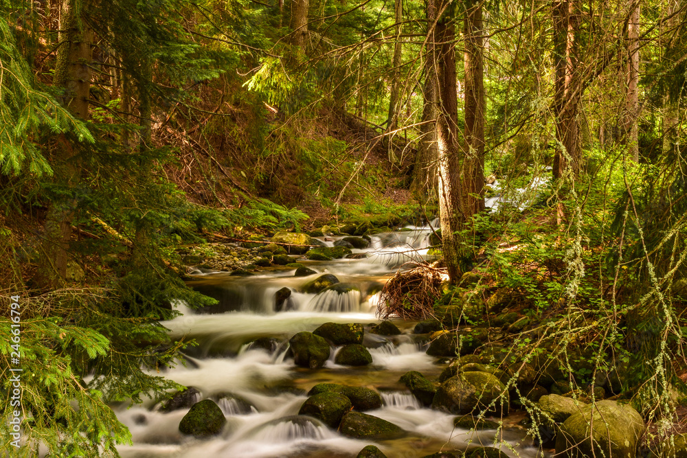 Obraz premium River Musalenska Bistritza