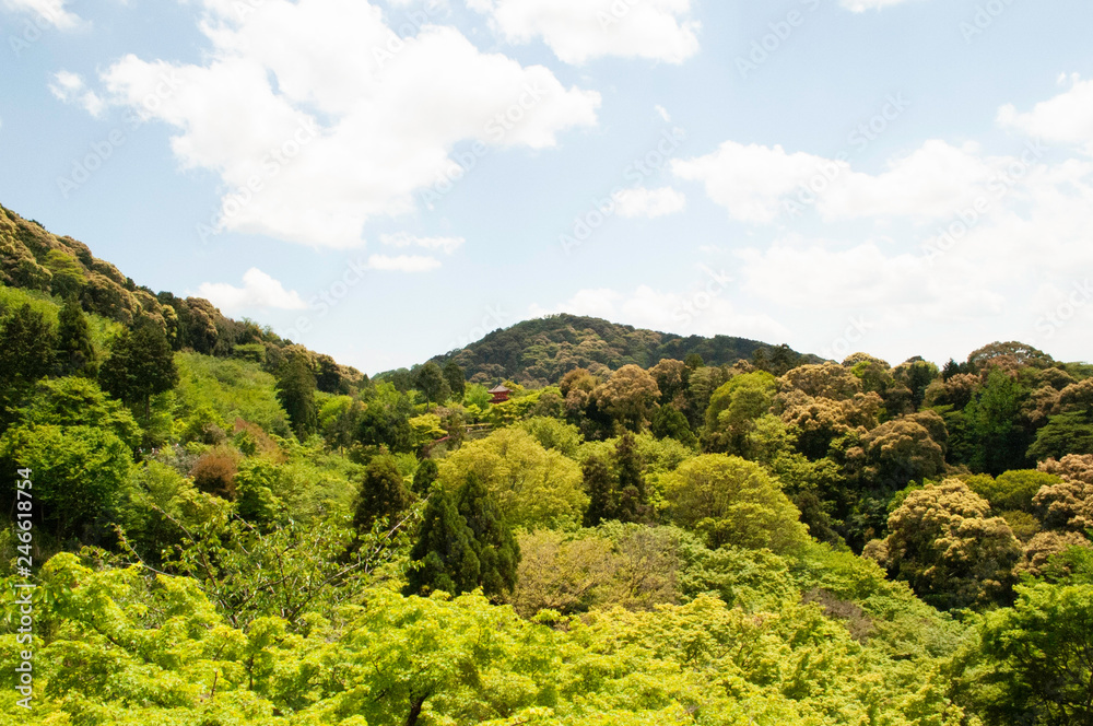 Obraz premium 山 光 高い 緑 ノイズ