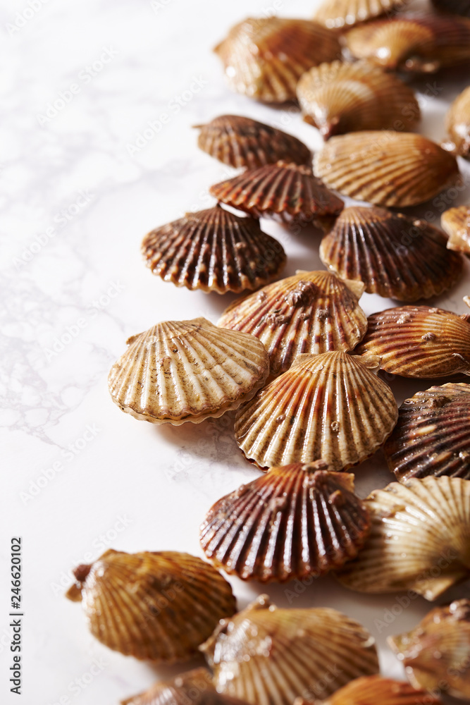 Scallop on marble stone table Scallop on marble stone table