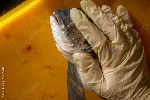process of peeling dorado fish by hands in gloves