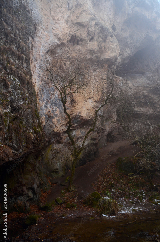 Obraz premium beautiful winter mountain nature