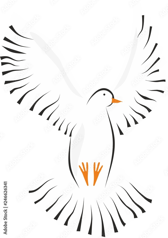 Obraz premium Paloma