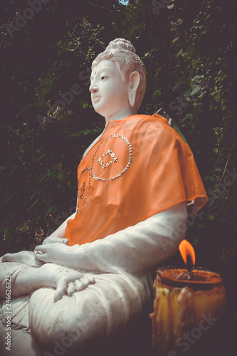 Buddha statue in jungle, Wat Palad, Chiang Mai, Thailand photo