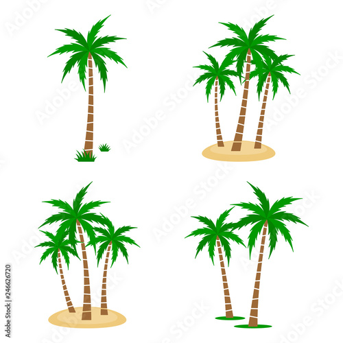 A palm tree vector set.
