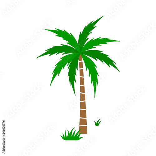A palm tree vector set.