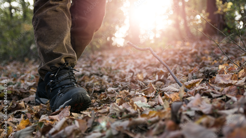 Hikers boots on forest trail Hikers boots on forest trail