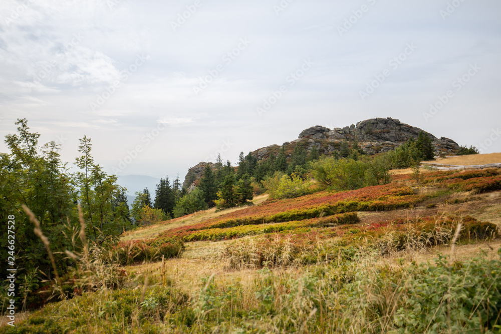 Landscape picture at the big Arber in Bavaria