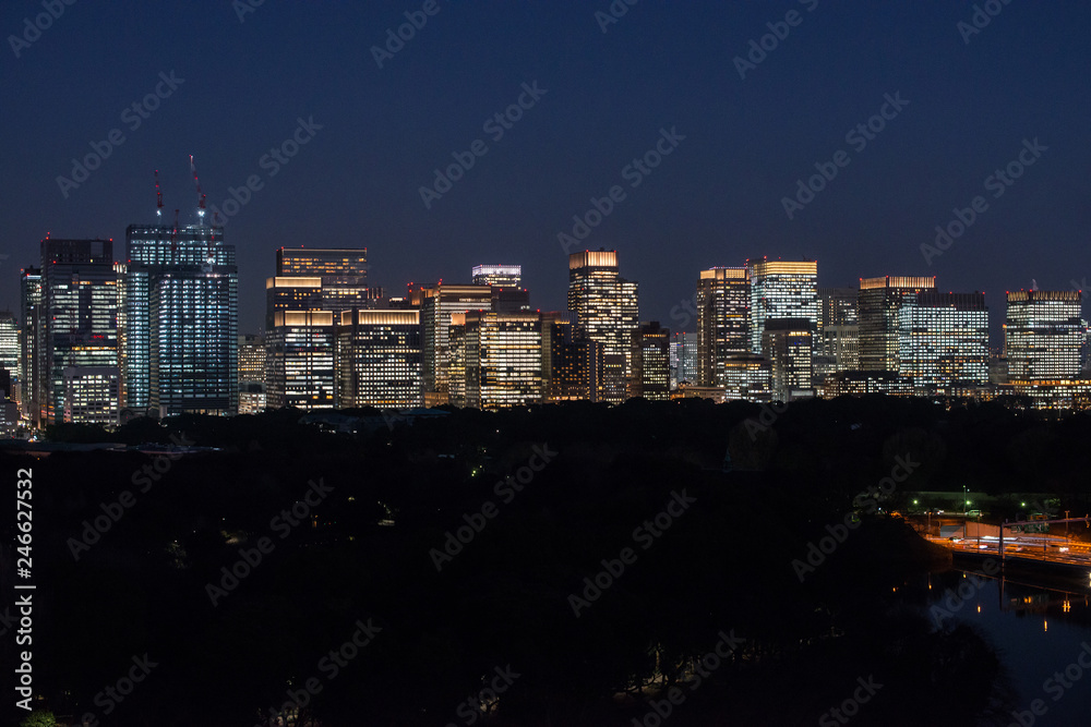 Obraz premium Tokyo Skyline