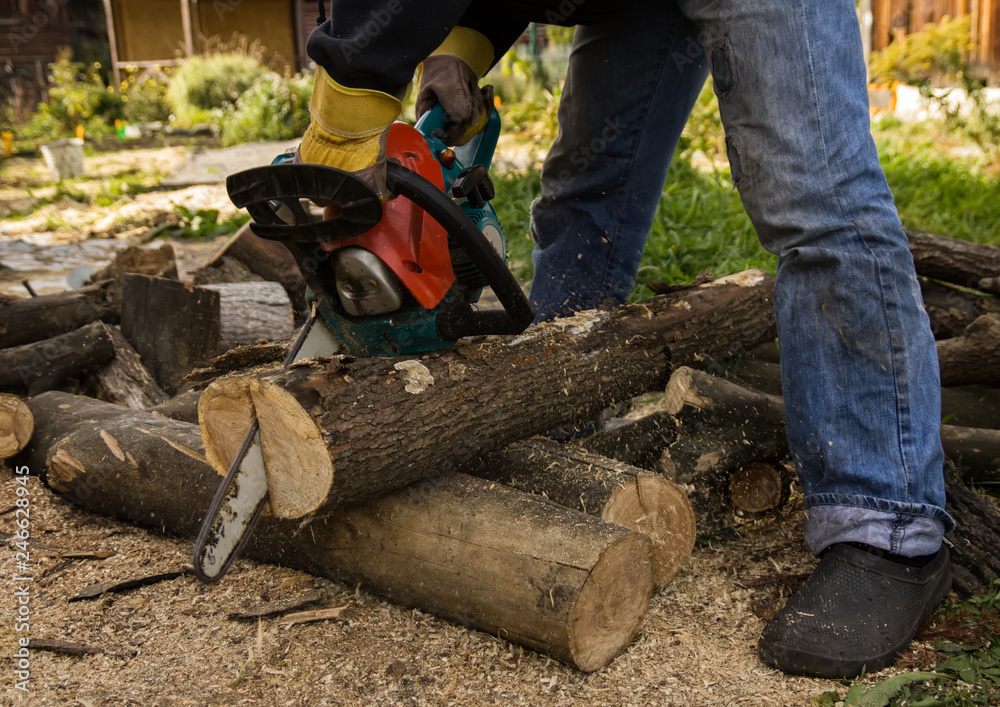 Lumberman using chainsaw sawing dry wood lying on ground. Lumberman using chainsaw sawing dry wood lying on ground.