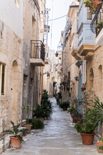 Fototapeta Naklejka Na Ścianę i Meble -  Malta, Mdina, Mosty