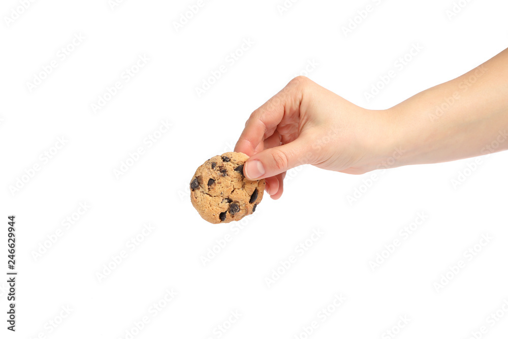 Woman holding tasty chocolate chip cookie on white background, closeup Woman holding tasty chocolate chip cookie on white background, closeup