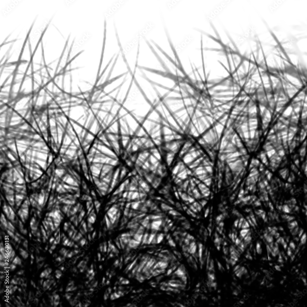 Black and White Abstract Background with shades Lines of plants branches, Graphic Sketch Hand Drawing Black and White Abstract Background with shades Lines of plants branches, Graphic Sketch Hand Drawing