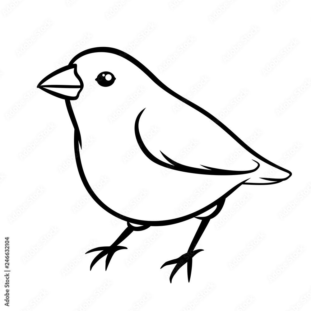Hand drawn line sparrow vector sketch illustration Hand drawn line sparrow vector sketch illustration