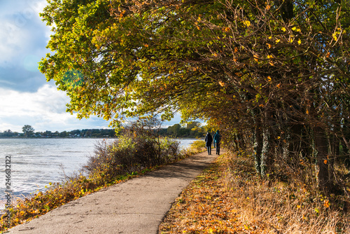 Fototapeta Naklejka Na Ścianę i Meble -  Herbstspaziergang auf dem Fördewanderweg von Bülck nach Stande