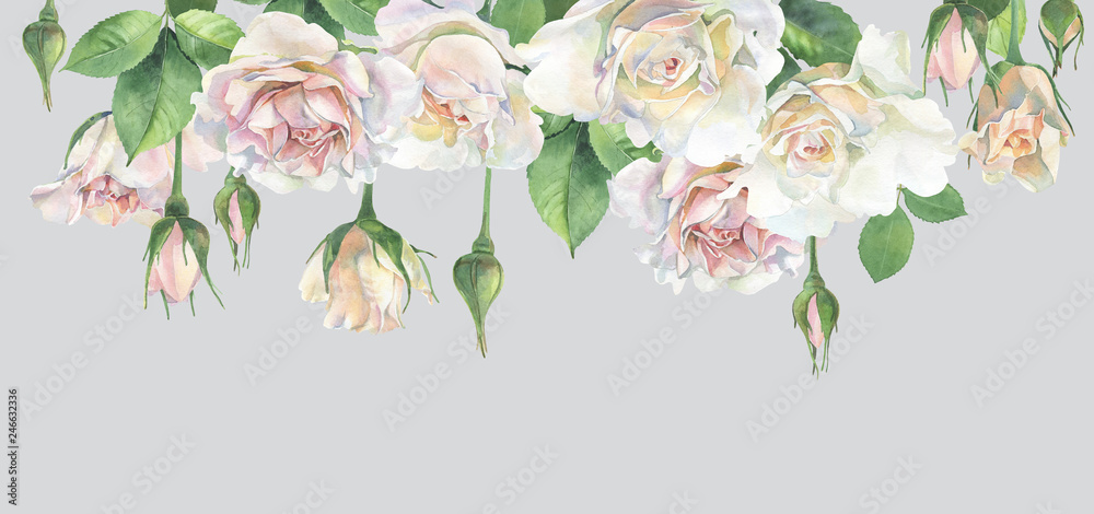 Horizontal frame of roses