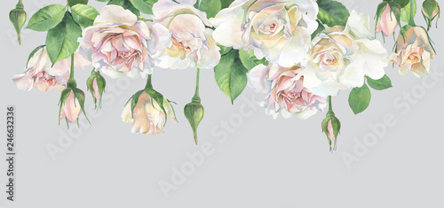 Horizontal frame of roses