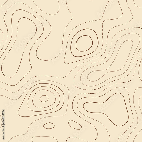 Admirable topographic map. Seamless design, eminent tileable isolines pattern. Vector illustration.