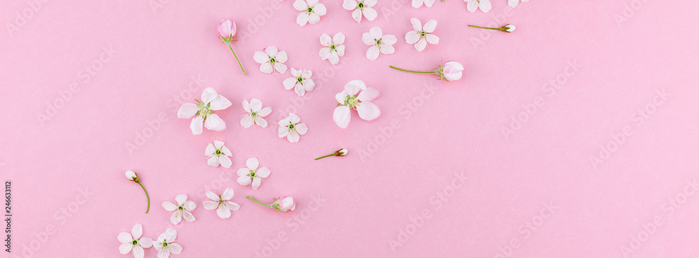White spring cherry tree blooming flowers pattern