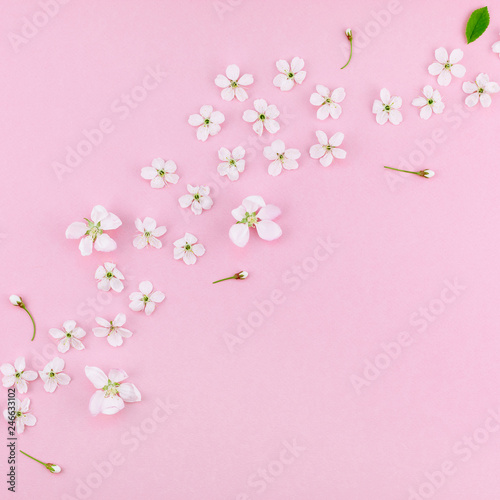 White spring cherry tree blooming flowers pattern © dvoevnore